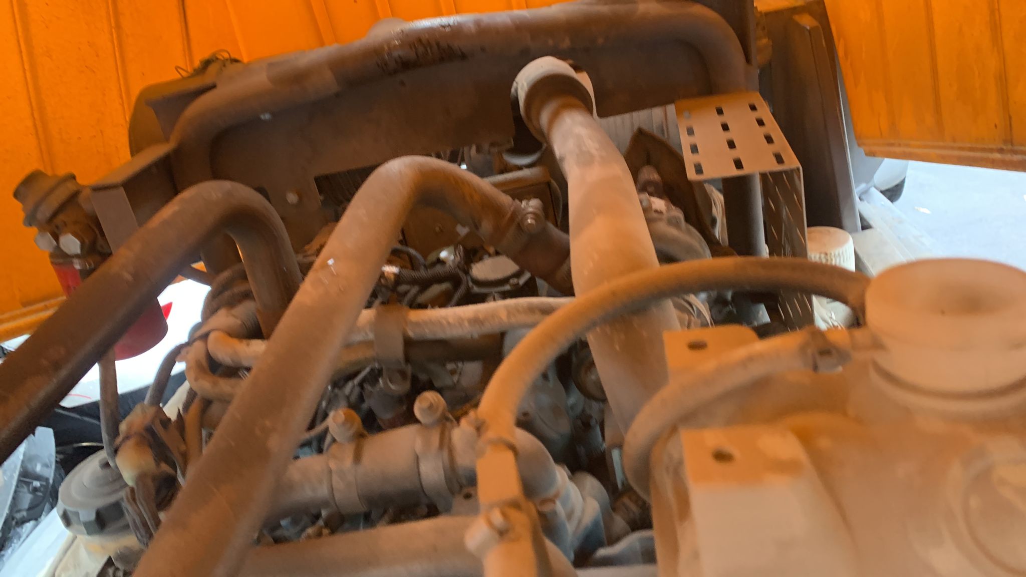 WhatsApp Image 2025-10-15 at 12.16.10 PM