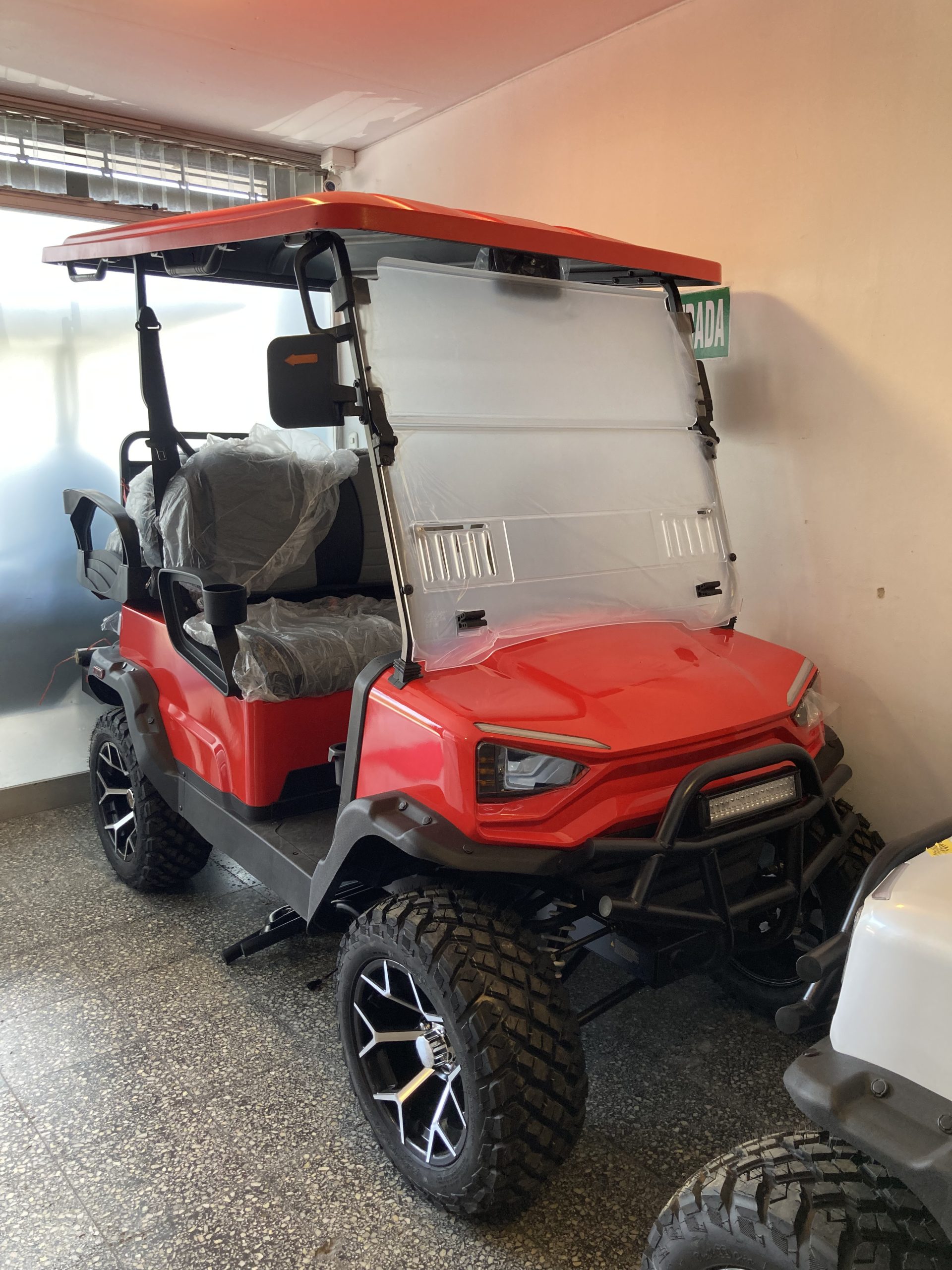 Carro de golf Tao Motors ROJO