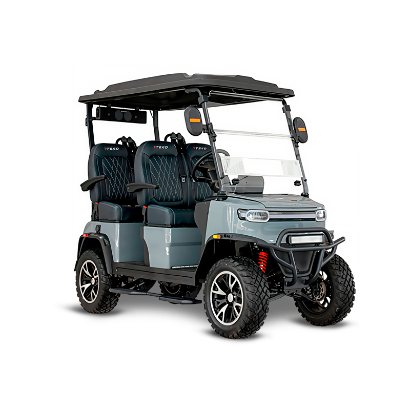 Carro de golf Tao Motors TEKO