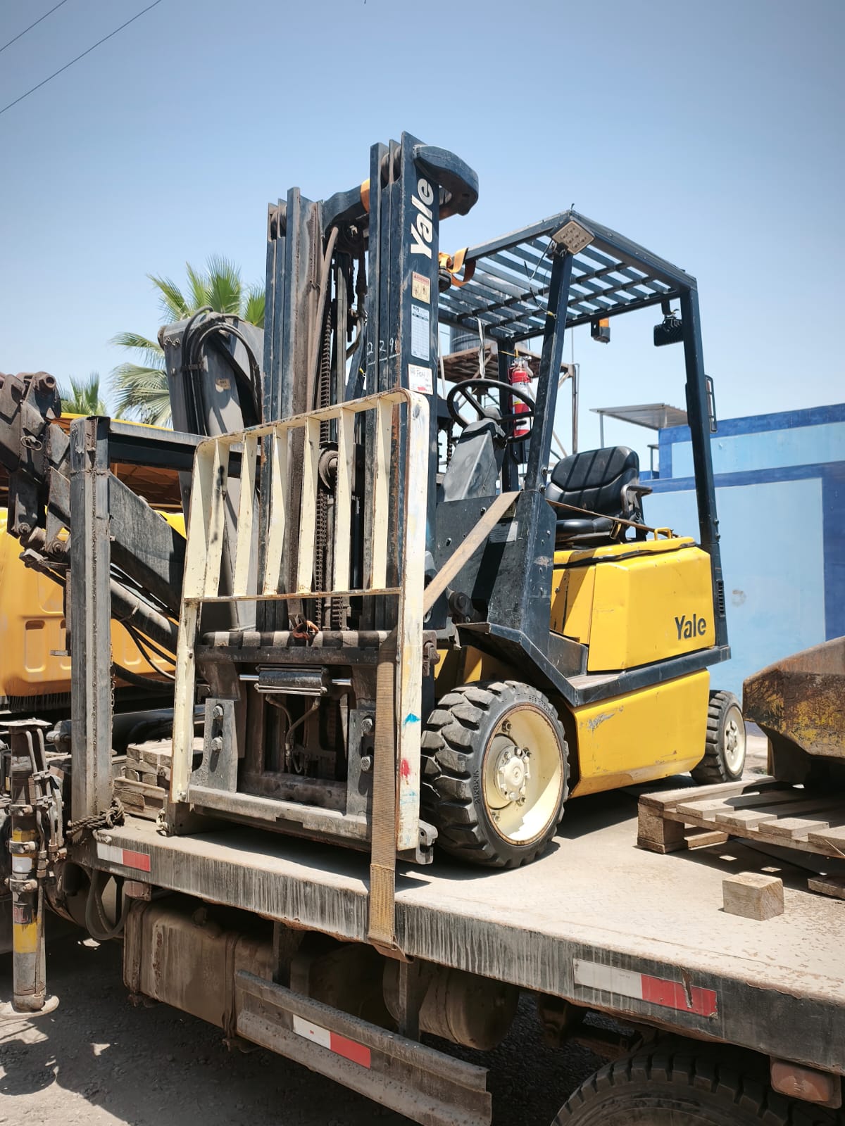 WhatsApp Image 2026-01-30 at 1.15.11 PM