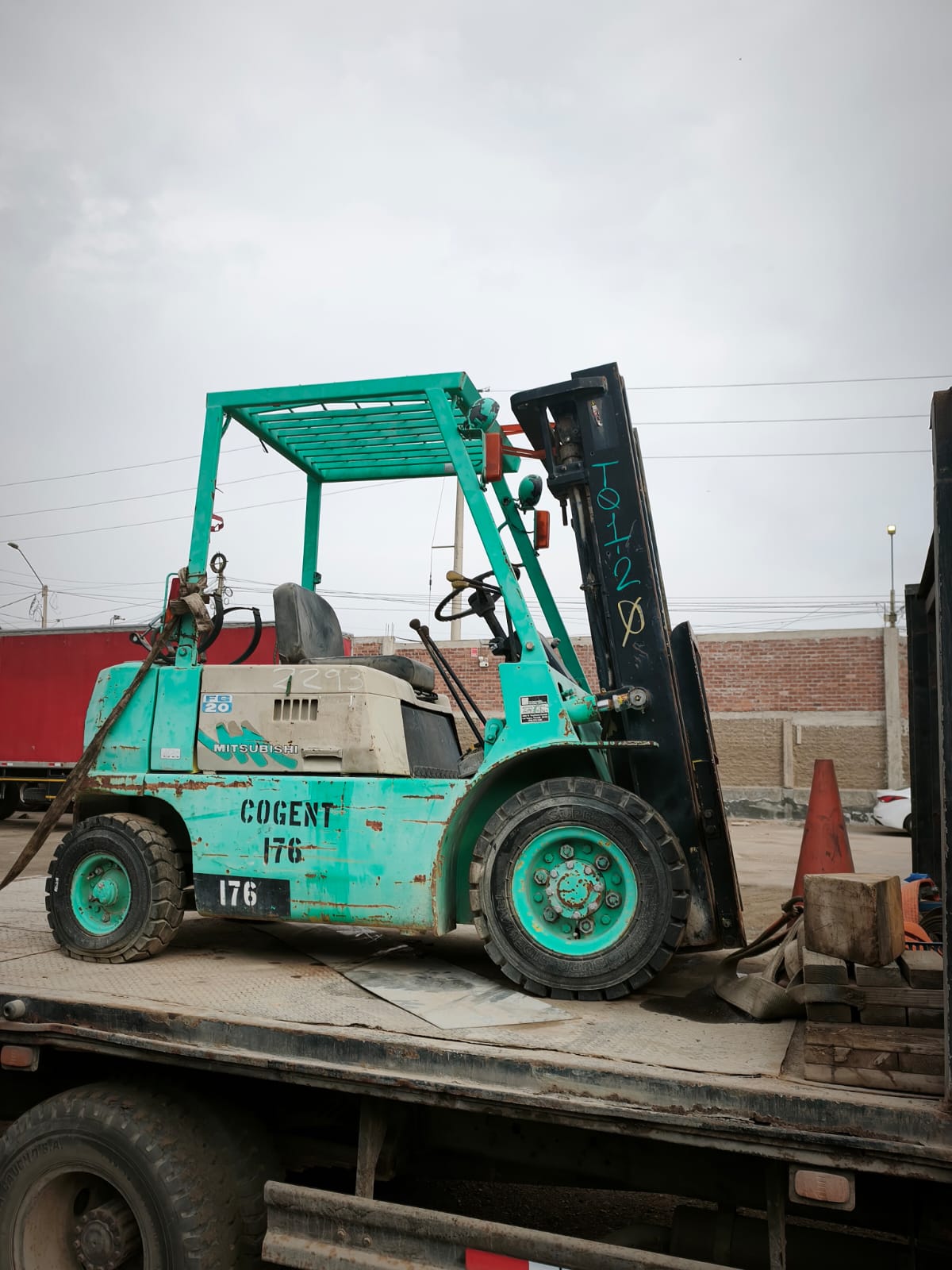 WhatsApp Image 2026-01-31 at 9.56.53 AM